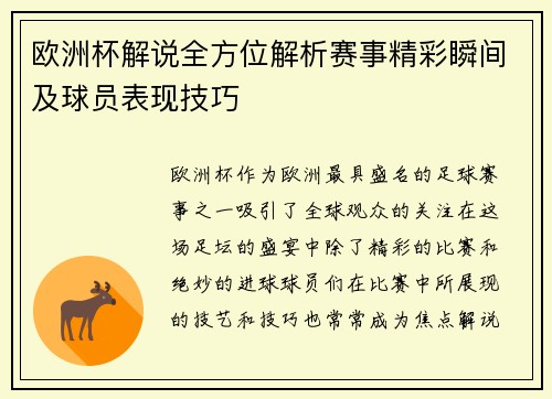 欧洲杯解说全方位解析赛事精彩瞬间及球员表现技巧