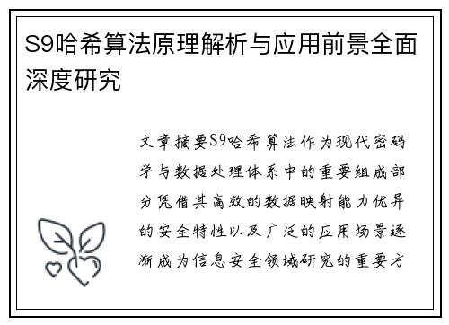 S9哈希算法原理解析与应用前景全面深度研究